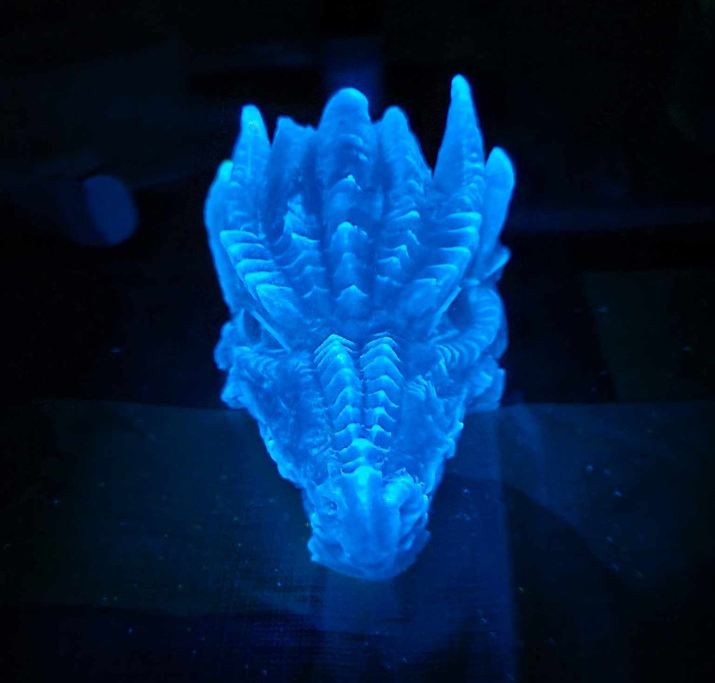 Glow in the dark dragon head