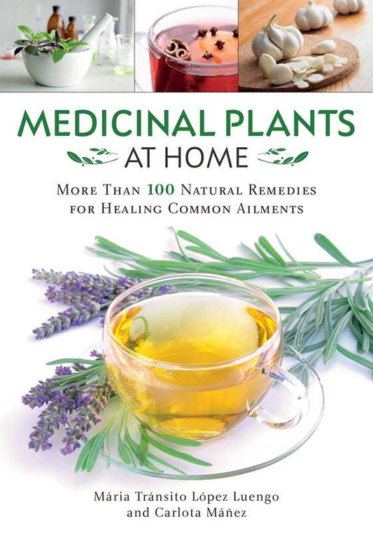 Medicinal Plants at Home by María Tránsito López Luengo: Paperback; 240 pages / English